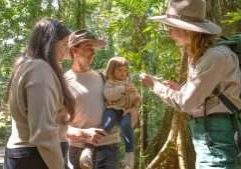 Discovery Tour, Dorrigo National Park